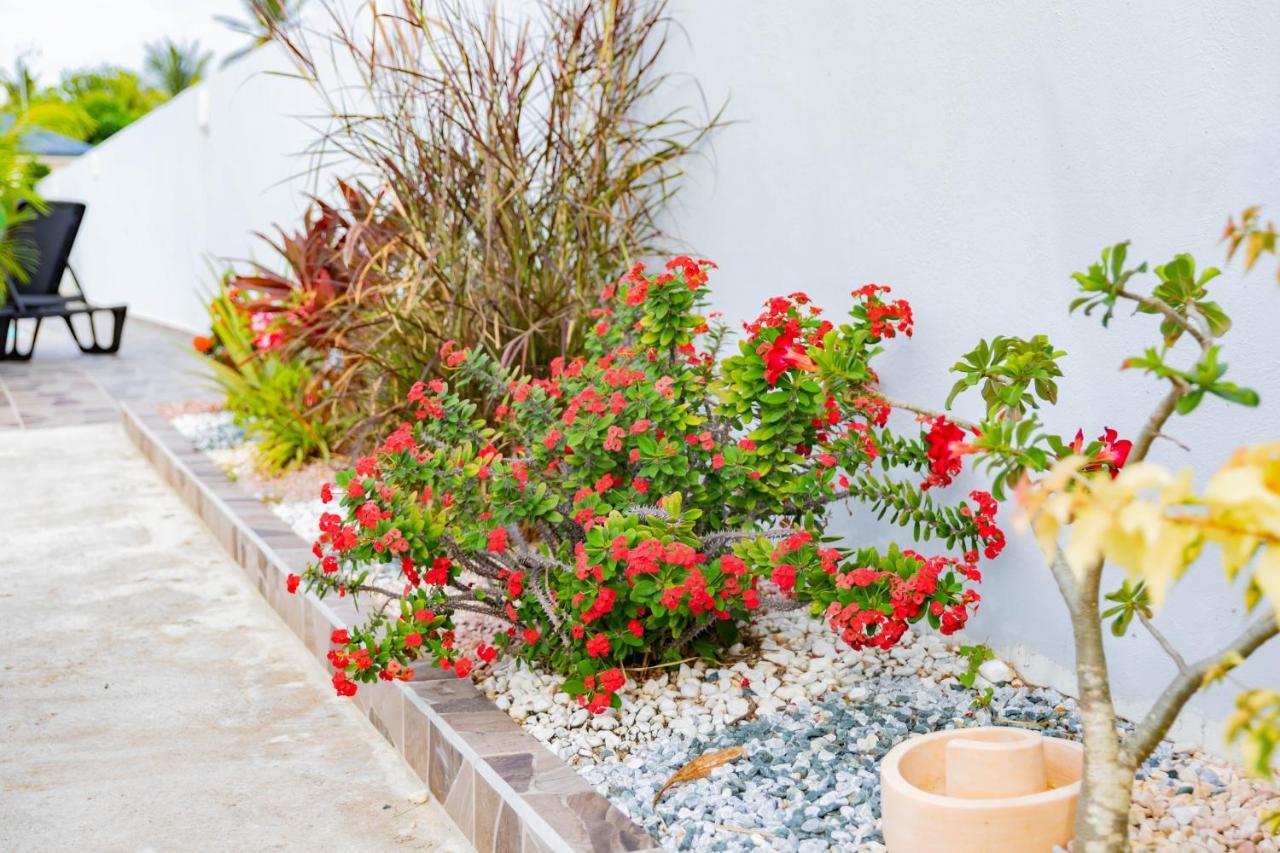 Promo ! Les Paisibles Villas C & G Richeplaine Εξωτερικό φωτογραφία